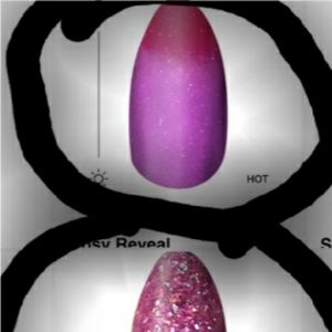 LynnPerkins nailboo bundle